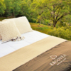 Best Selection of Organic Mattresses and Bedding | Green Dream Beds | Durham, NC