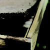 Best Selection of Organic Mattresses and Bedding | Green Dream Beds | Durham, NC