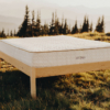 Savvy Rest: Best Selection of Organic Mattresses and Bedding | Green Dream Beds | Durham, NC