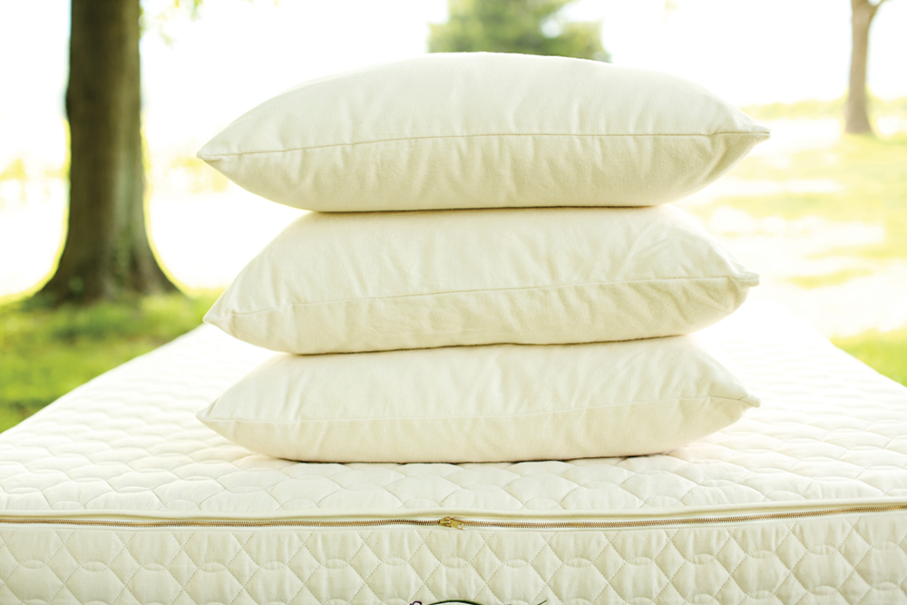 Organic pillow clearance top